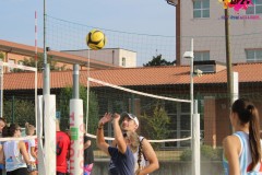 IMG_3639